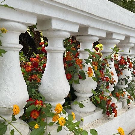 Beautiful Garden Apartment Steps From The Beach Menton Dış mekan fotoğraf